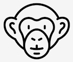 monkey