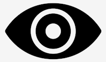 spy