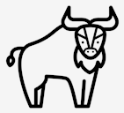 buffalo
