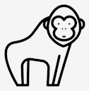 gorilla