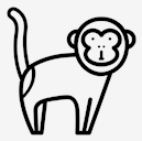 monkey