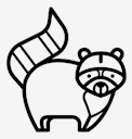 racoon
