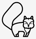 squirrel