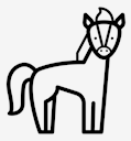 wild,horse
