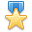 award,gold,star,winner
