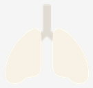 lungs