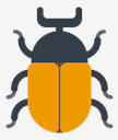 beetle