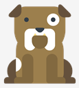 bulldog