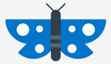 butterfly