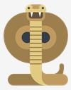 cobra