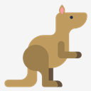 kangaroo