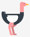 ostrich