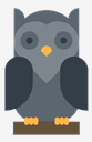 owl