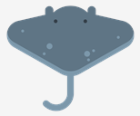 ray
