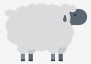 sheep