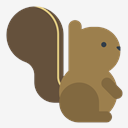 squirrel
