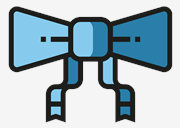 bow