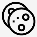cookie