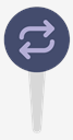 pin