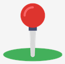pin
