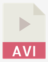 avi