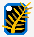 palme,dor