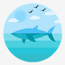 whale