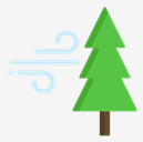pine