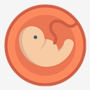 pregnancy