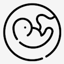 pregnancy