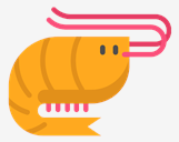 shrimp