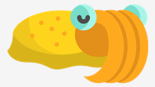 cuttlefish