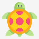 tortoise