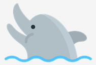dolphin
