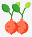 radish