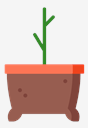 sprout