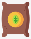 seed