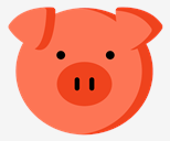 pig