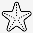 starfish