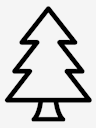 pine,tree