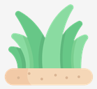 grass