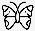 butterfly