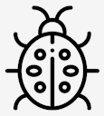 ladybug