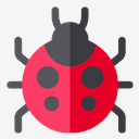 ladybug