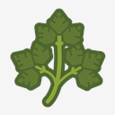 parsley