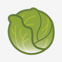 cabbage