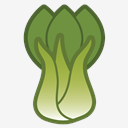 bok,choy