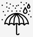 umbrella