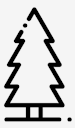 pine