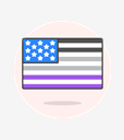 asexual,flag,usa